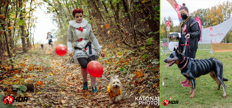 Igazi Halloween-i örömfutással zárta a szezont a Hard Dog Race
