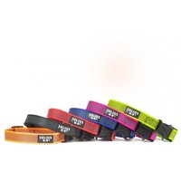 Julius-K9 Color & Gray nyakörv #3