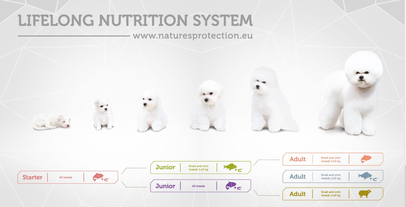 Nature's Protection Superior Care White Dogs