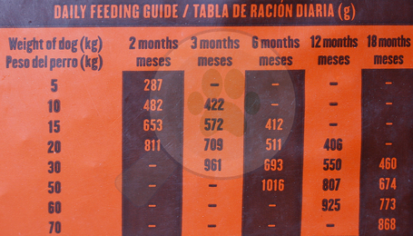 Visán Banters Dog Puppy & Junior Large Breed