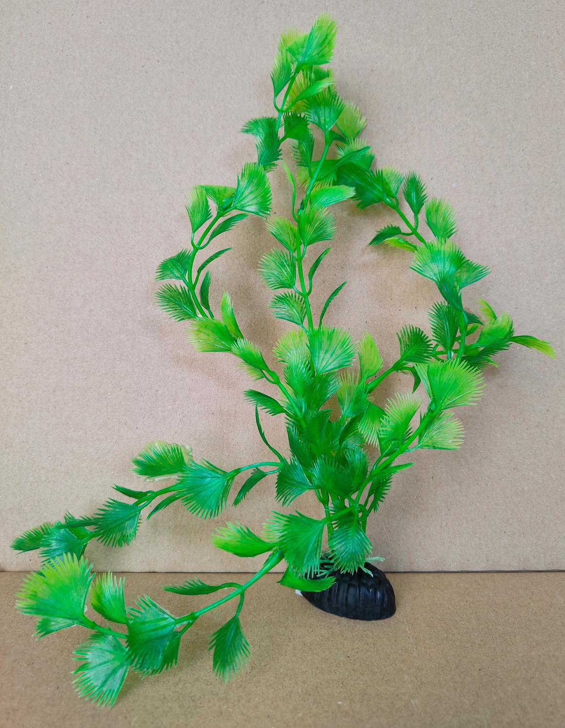 Alga verde cu tulpină lungă și frunze spinoase, plantă artificială pentru acvariu