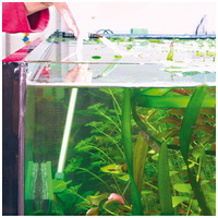 JBL Blanki Set tisztító szivacs nyéllel #3