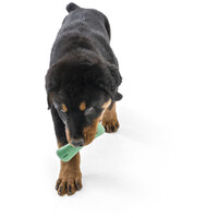 West Paw Seaflex Drifty - Csontot imitáló rágóka #12