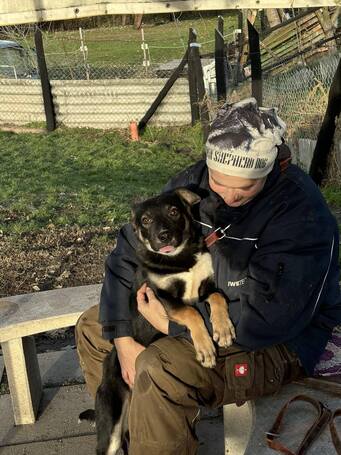 Hektor, kan kutyus gazdit keres