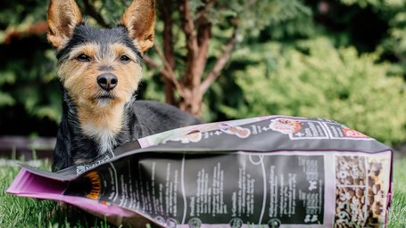 Belcando Finest Light | Túlsúlyos vagy idősebb kistestű kutyáknak való eledel