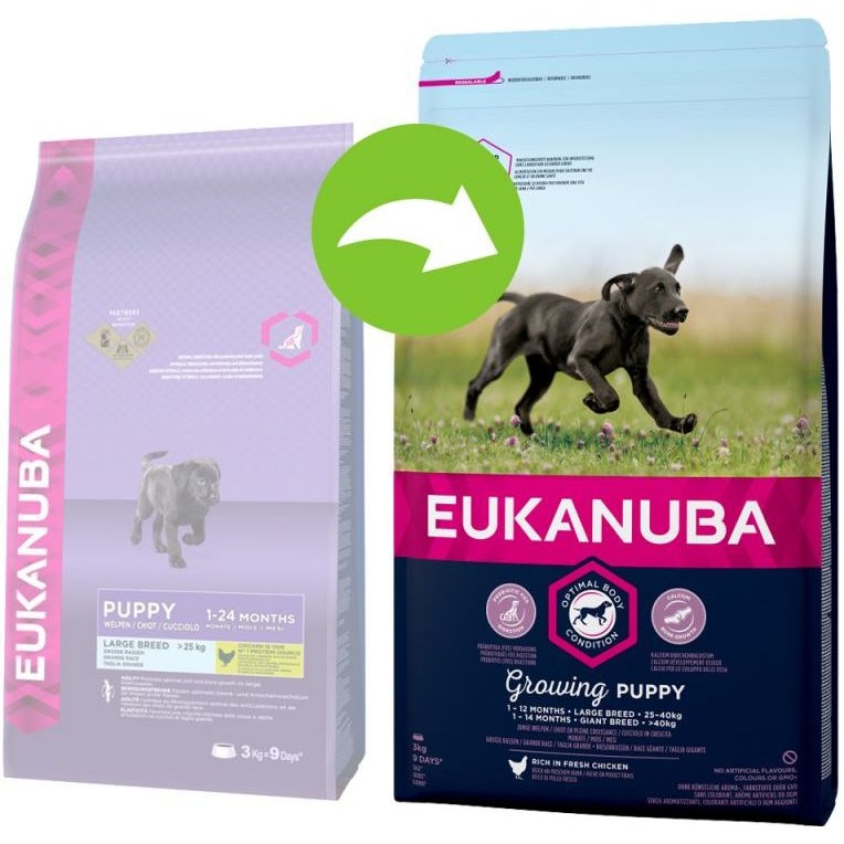 Eukanuba shops puppy large 18kg