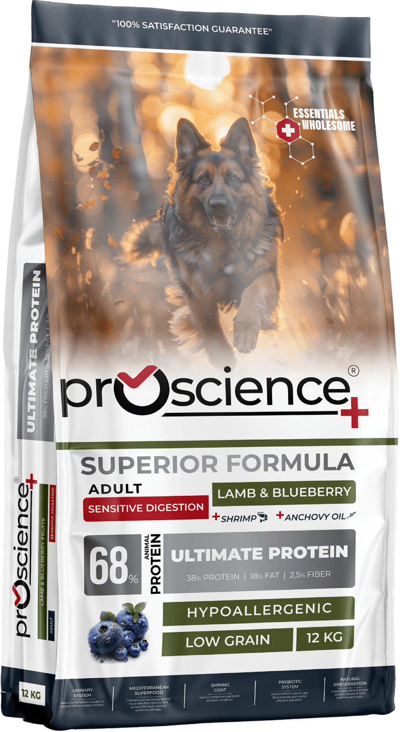 ProScience Adult Dog Lamb & Blueberry - Bárányos kutyatáp