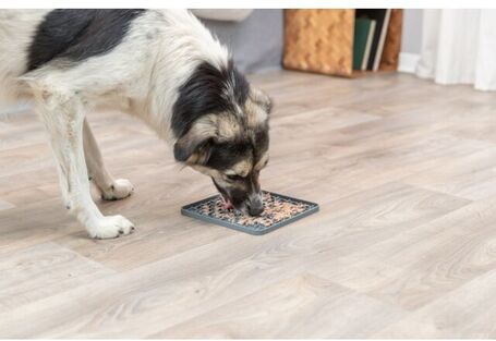 Trixie Lick'n'Snack Mat szilikon evéslassító tál