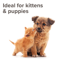 Beaphar beltéri nevelő, távoltartó spray #3