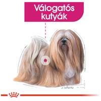 Royal Canin Mini Exigent - Válogatós felnőtt kistestű kutya száraz táp #2