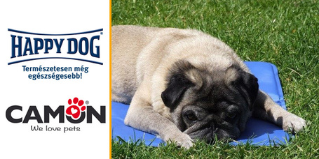 Most ajándék Camon hűtőmatracot adunk a 4 kg-os Happy Dog Mini tápokhoz
