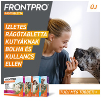 Frontpro rágótabletta bolha és kullancs ellen #4