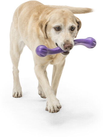 West Paw Zwig apport