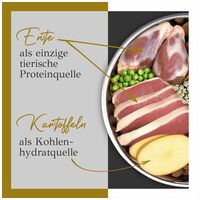 Primum Adult Soft Ente mit Kartoffel #3