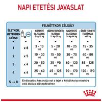 Royal Canin '1st Age Milk #6