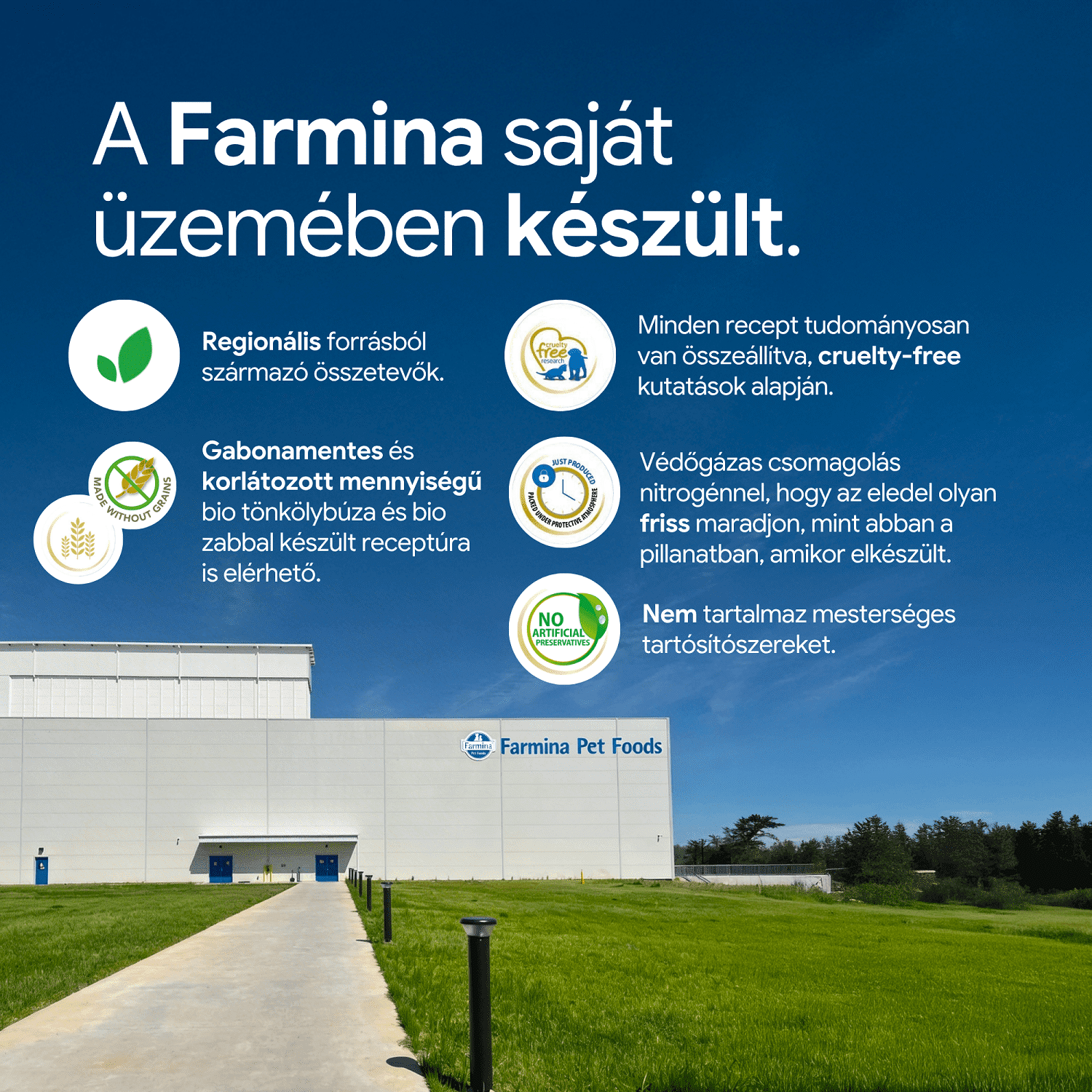 N&D Dog Ocean Adult Medium/Maxi sütőtök, tőkehal & narancs | Közepes és nagytestű felnőtt kutyáknak