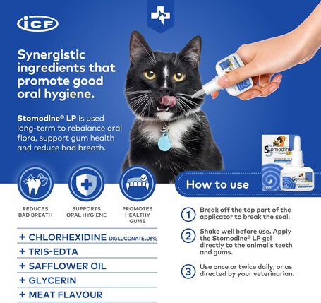 Stomodine L.P. antibakteriális szájfertőtlenítő gél kutyáknak és macskáknak
