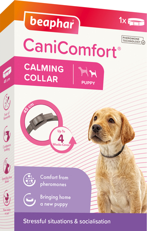 Beaphar CaniComfort feromonos nyugtató nyakörv kölyökkutyáknak