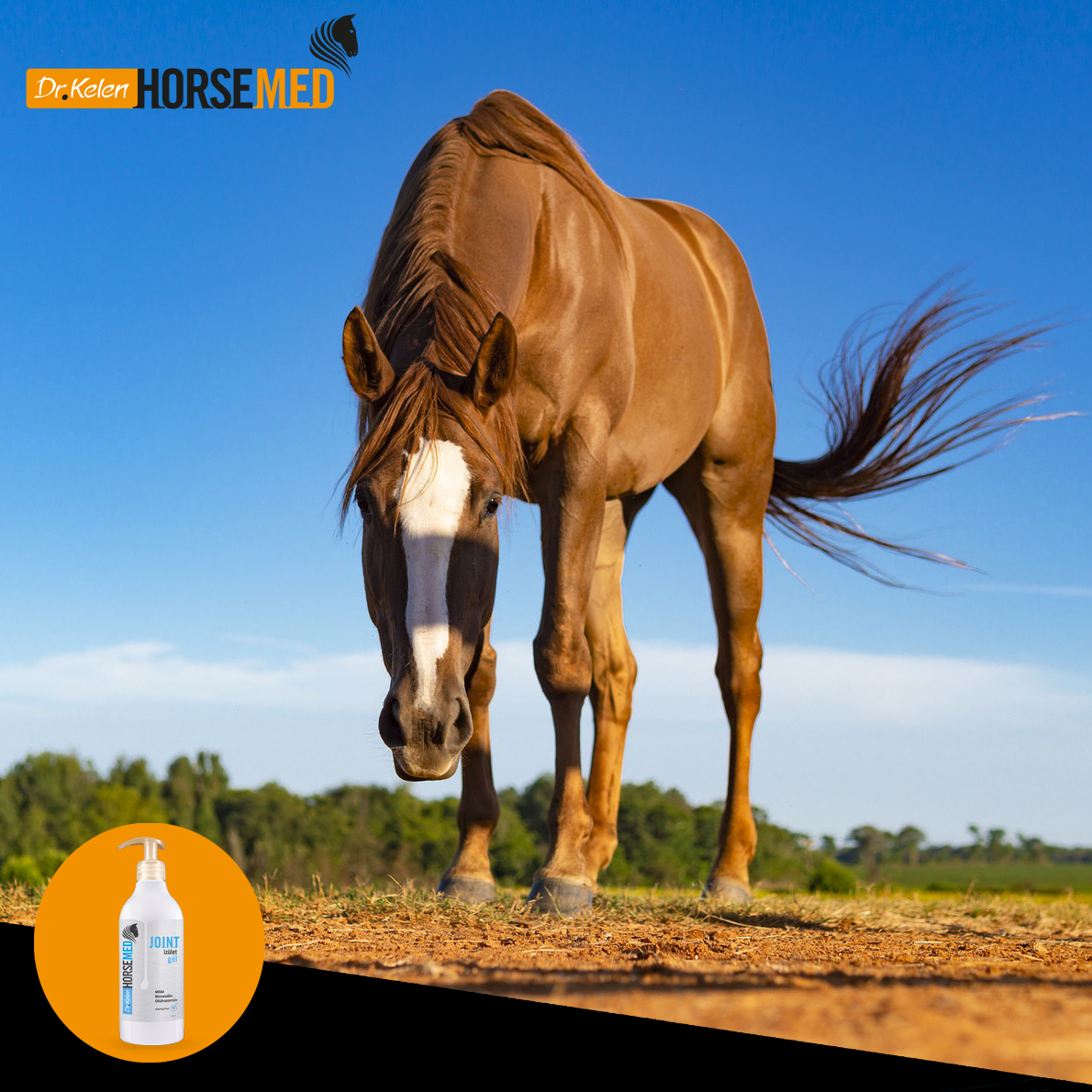 Horsemed gel de protecție a articulațiilor pentru cai - zoom