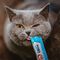 Inaba Cat Churu püré macskáknak változatos ízekben