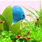 Juwel Colour-Lite T8 akvárium fénycső