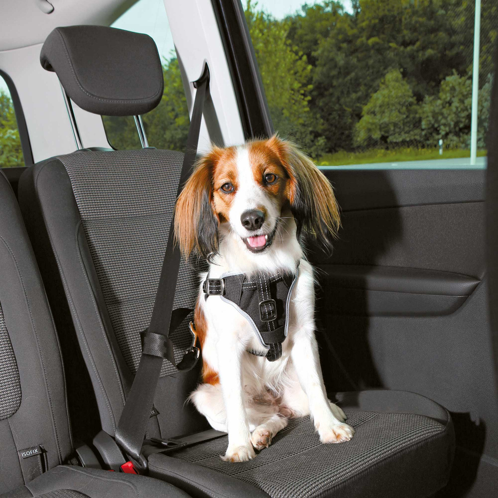 Trixie Dog Comfort Set - Ham reflexiv şi centură auto pentru câini - zoom