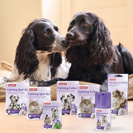 Beaphar No Stress / Calming Spot On kutyáknak