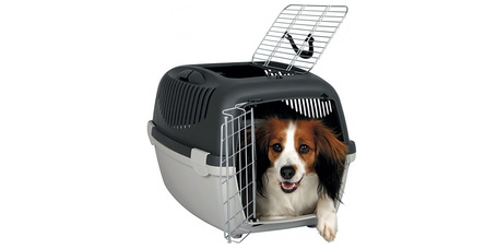 A kutyaszállító boxok használatáról