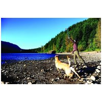 Chuckit! Sport18 labda elhajító katapult labdával #3