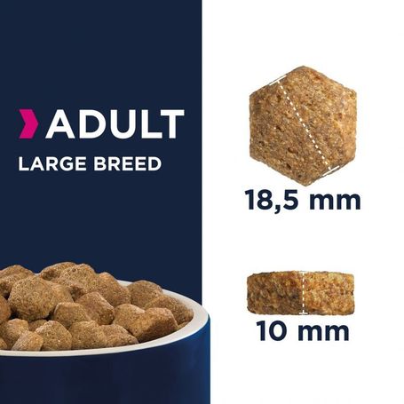 Eukanuba Adult Large 18 kg