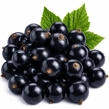 Zöldség- és bogyósgyümölcs-püré sütőtökkel kutyáknak