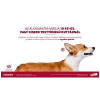 Advantix Spot On kutyáknak #11