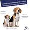 Pet-Phos CA / P = 2 ízesített csonterősítő tabletta kutyáknak