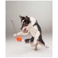 Liker narancssárga kötél labda kutyáknak #2