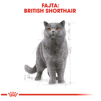 Royal Canin British Shorthair Adult - Brit rövidszörű felnőtt macska nedves táp #2