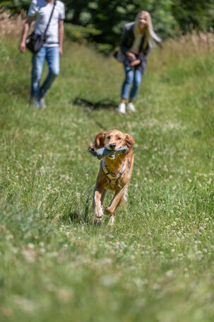 Trixie Feed Dummy huza-vona játék kiképzéshez kutyáknak