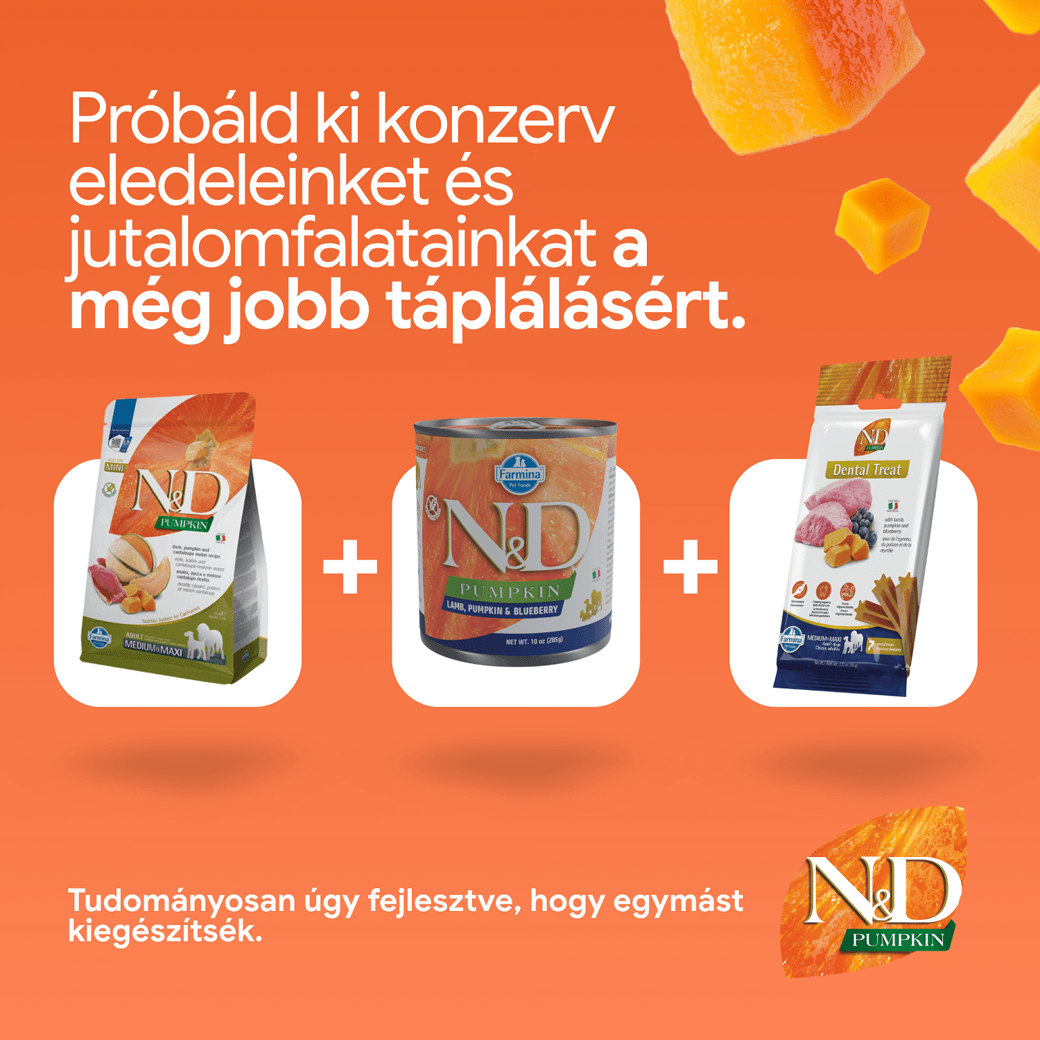N&D Dog Grain Free Adult Medium/Maxi dovleac, rață & afine hrană superpremium pentru câini - zoom
