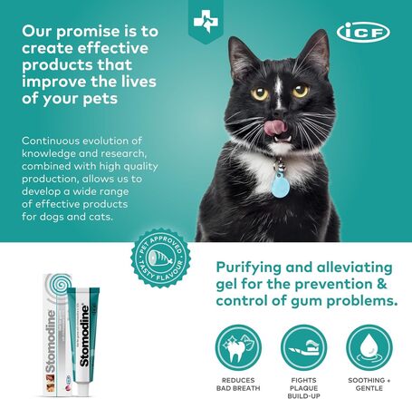Stomodine antibakteriális szájfertőtlenítő, fogápoló gél