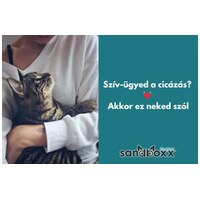 Sandboxx púder illatú ultra prémium csomósodó macskaalom #2