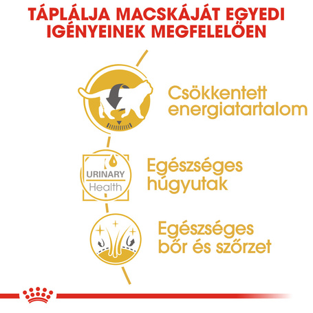 Royal Canin British Shorthair Adult - Brit rövidszörű felnőtt macska nedves táp
