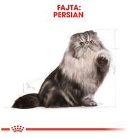 Royal Canin Persian Adult - Perzsa felnőtt macska száraz táp #2