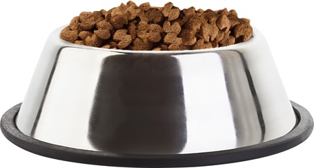 Eukanuba Adult Large 18 kg