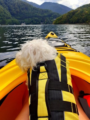 Trixie mentőmellény kutyáknak