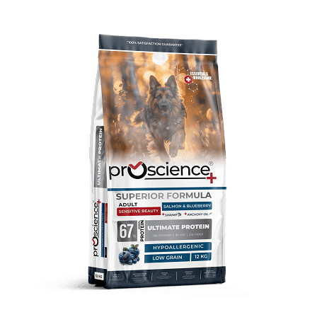 ProScience Adult Dog Salmon & Blueberry 12 kg