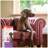 Beaphar CaniComfort feromonos nyugtató spray kutyáknak #8