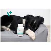 Vet Expert KalmVet #2