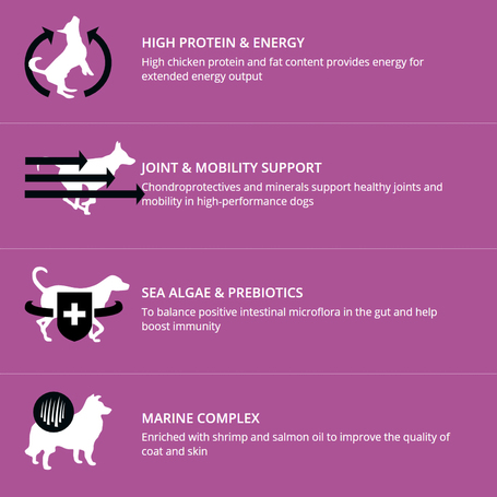 Profine Energy Chicken & Potatoes | Táp teljesítőképességű kutyáknak csirkével és burgonyával