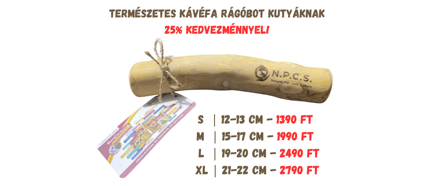 🎄🐕Tegyél szuper tartós, mégis szuper olcsó természetes kutyajátékot a fa alá! 🎄🐕Tegyél szuper tartós, mégis szuper olcsó természetes kutyajátékot a fa alá!