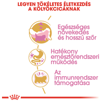 Royal Canin Persian Kitten - Perzsa kölyök macska száraz táp #4