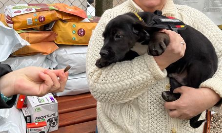 Köszönjük az újabb adományokat, ismerjétek meg Wolf babát